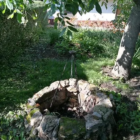 Panoráma